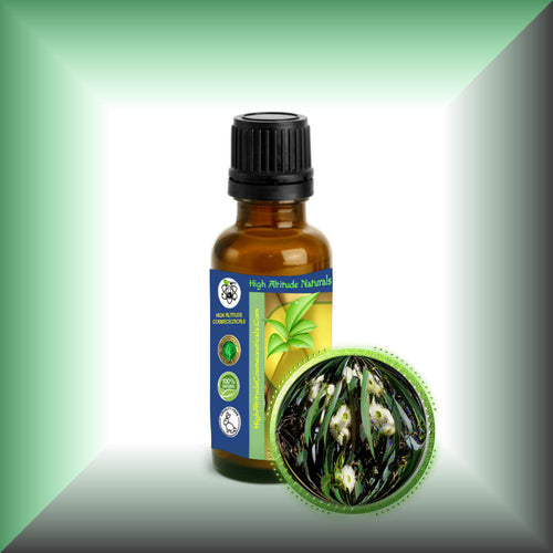Eucalyptus Essential Oil (Eucalyptus globulus)