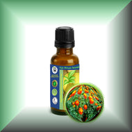 French Marigold Essential Oil (Tagetes Patula)