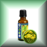 Helichrysum Essential Oil (Helichrysum Italicum)