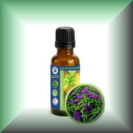 Heliotrope Absolute Oil (Heliotropium Arborescens)