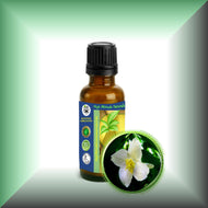 Jasmine Essential Oil (Jasminum Grandiflorum)