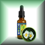 Labdanum (Rock Rose) Absolute Oil (Cistus ladanif)