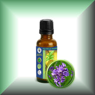 Lavender Essential Oil *Bulgarian* (Lavandula Vera)