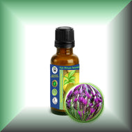 Lavender Essential Oil *French* (Lavandula Hybrida var Grosso, Lavandin)