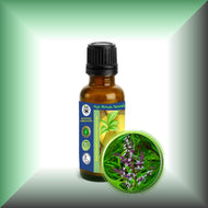 Lemon Verbena (Aloysia Citrodora) Essential Oil