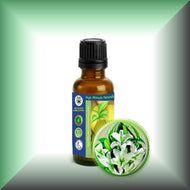 Lily Absolute Oil (Lilium Auratum)