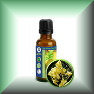 May Chang Essential Oil (Litsea Cubeba)