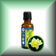 Narcissus Daffodil Essential Oil (Narcissus Poeticus)