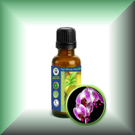Orchid Absolute Oil (Orchidaceae)