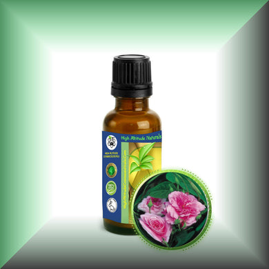 Rose Petal Essential Oil *Bulgaria* (Rose Otto, Rosa Damascena)