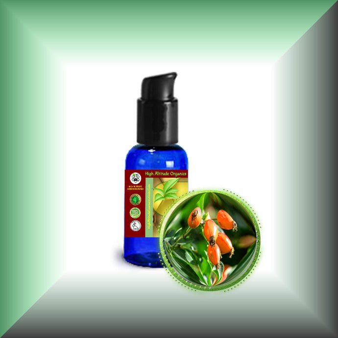 rosa canina seed oil Rosehip Seed Oil (Rosa Canina), Virgin, for Skin – HIGH ALTITUDE COSMECEUTICALS