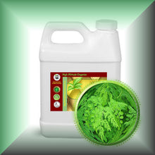 Moringa Leaf Oil Extract