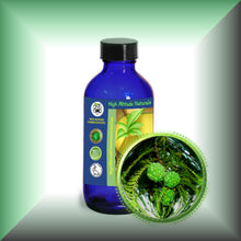 Cypress Essential Oil (Cupressus Sempervirens)