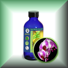 Orchid Absolute Oil (Orchidaceae)