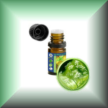 Anis Seed Essential Oil (Aniseed, Pimpinella Anisum)
