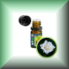 Gardenia Absolute Oil (Gardenia Jasminoides)