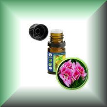 Rose Geranium (Pelargonium Roseum) Oil