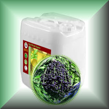 Acai Berry Oil for Face, Dry Skin, Hair & Body - Virgin in a 5 gallon jerrrycan for bulk wholesale purchase
