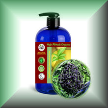 Acai Berry Oil for Face, Dry Skin, Hair & Body - Virgin in 16 fl oz bottle with pump