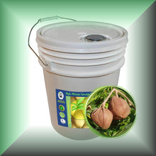 Virgin Andiroba Seed Oil for Face, Dry Skin, Hair and Massage in a 5-Gallon size pail for bulk, wholesale purchases.