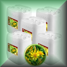 Arnica Oil for Bruises & Sore Muscles – 1:2 Extra Strength in 5x 5 gallons jerrycans, totlling 25 gallons, bulk, wholesale size for production.