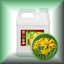 Arnica Oil for Bruises & Sore Muscles – 1:2 Extra Strength in a 32 fl oz jug.