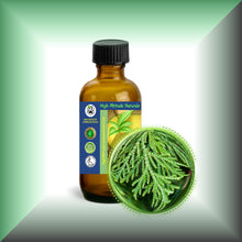 Cedar Leaf (Thuja occidentalis) Essential Oil