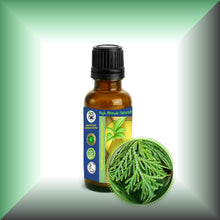 Cedar Leaf Essential Oil (Thuja occidentalis) – Aromatherapy, Skin Care & Perfumery in a glass bottle with euro dropper cap.