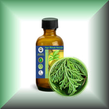 Cedar Leaf Essential Oil (Thuja occidentalis) – Aromatherapy, Skin Care & Perfumery in a 2 fl oz glass bottle with cap.