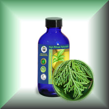 Cedar Leaf Essential Oil (Thuja occidentalis) – Aromatherapy, Skin Care & Perfumery in a 4 fl oz glass bottle with cap.