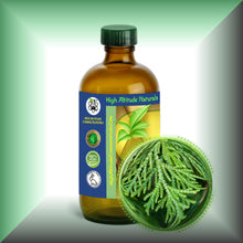 Cedar Leaf Essential Oil (Thuja occidentalis) – Aromatherapy, Skin Care & Perfumery in a 8 fl oz glass bottle with cap.