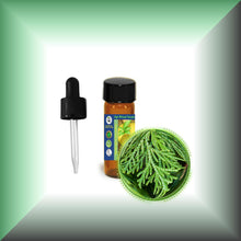 Cedar Leaf Essential Oil (Thuja occidentalis) – Aromatherapy, Skin Care & Perfumery in a dram vial with glass pippet dropper.