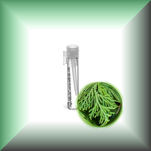 Cedar Leaf Essential Oil (Thuja occidentalis) – Aromatherapy, Skin Care & Perfumery in a glass vial - sample size.
