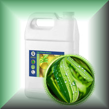 Lemongrass Essential Oil (Cymbopogon Flexuosum) bulk wholesale