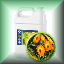 Calendula "Marigold" Absolute Oil (Calendula Officinalis) Buy Bulk Wholesale