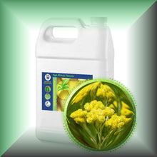 Helichrysum Essential Oil (Helichrysum Italicum)