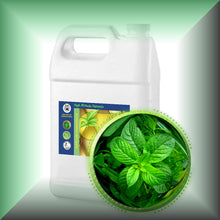 Peppermint Essential Oil (Mentha Piperata)