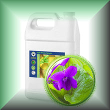 Violet Flower Absolute Essential Oil (Viola odorata)