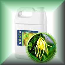 Ylang-Ylang Essential Oil (Cananga Odorata) Buy Bulk Wholesale