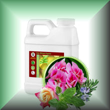 Geranium Potluck Body Massage Oil – Rose, Geranium & Citrus in a 16 fl oz jug.