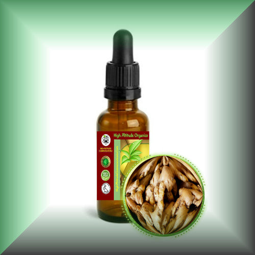Ginger Root Tincture (Zingiber officinale) Alcohol Extract - Highest Concentration 1:2