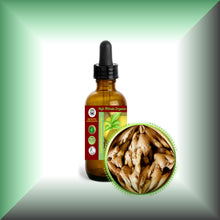 Ginger Root Liquid Tincture Extract (Zingiber officinale) - High Concentration 1:5