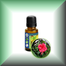 Hibiscus (Rosa Sinensis) Essential Oil