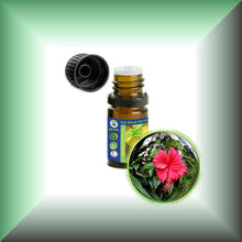 Hibiscus (Rosa Sinensis) Essential Oil