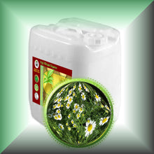 Chamomile Herbal Oil Extract