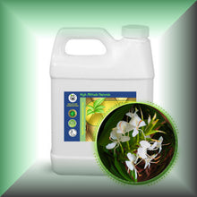 White Ginger Lily (Hedychium Coronarium) Absolute Essential Oil
