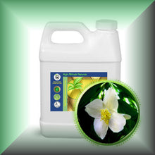 Jasmine (Jasminum Grandiflorum) Essential Oil