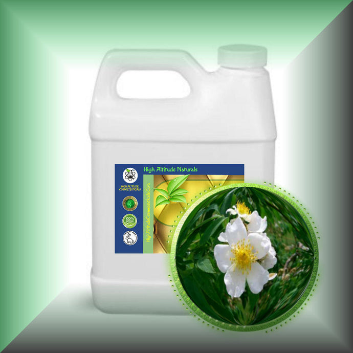 musk rose seed oil Wild Musk Rose Essential Oil (Rosa Moschata)
