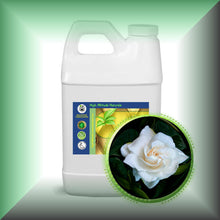 Gardenia Absolute Oil (Gardenia Jasminoides) bulk