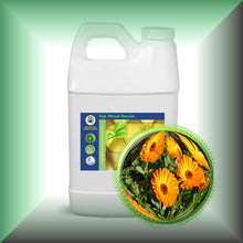 Calendula "Marigold" Absolute Oil (Calendula Officinalis) Buy Bulk Wholesale